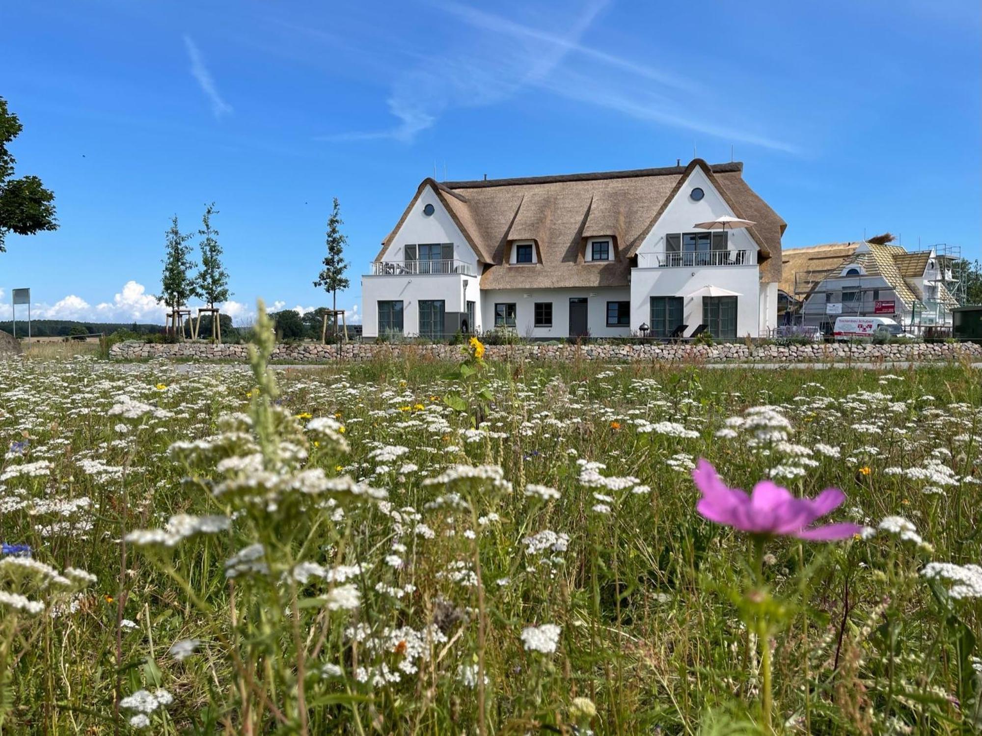 Inseldomizil Stolpe - Urlaub Unter Reet Auf Usedom Villa Stolpe auf Usedom ภายนอก รูปภาพ